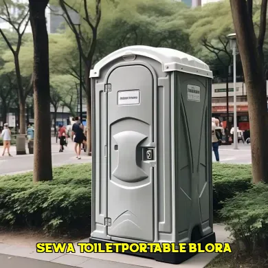 sewa toilet portable blora